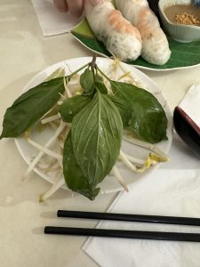 My Canh
