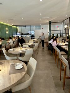 카덴 - KARDEN