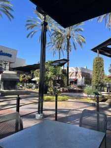 Rubio's Coastal Grill